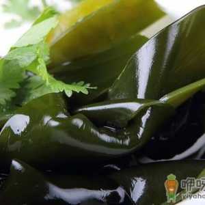 哪些食物可以解毒？常见的解毒食物有哪些