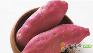 冬季多吃八种红色食物驱寒补气