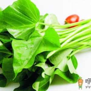 被扔掉的红薯叶其实是营养全能王