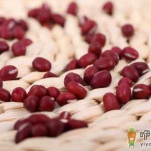 三种豆类帮你提高免疫力