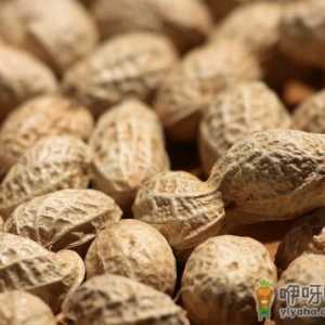 每天吃一把花生可以延年益寿
