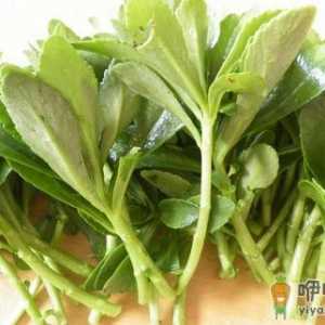 四种护心菜让你更健康