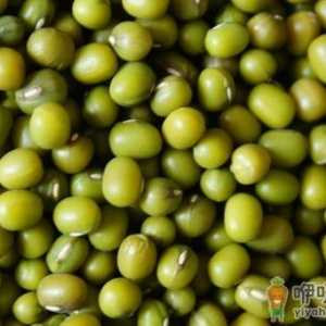 吃什么去湿？盘点10种清热去湿的食物