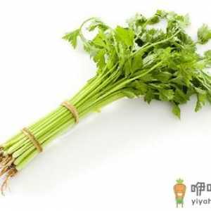 食物如中药 不同体质吃法大不同