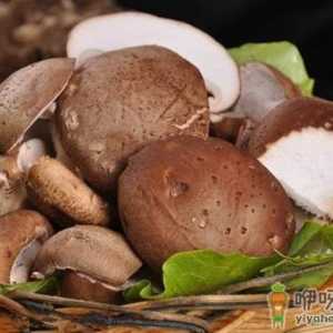 如何提高免疫力？提高免疫力的食物有哪些