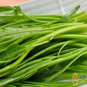 冬天中午吃什么养生？白领一族午餐吃什么好？