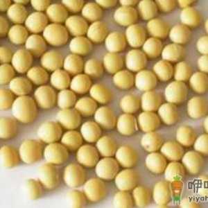 大脑需要什么营养素？吃什么能补脑？