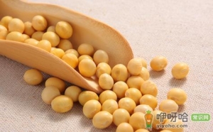 冬季吃什么粗粮好 推荐15种粗粮