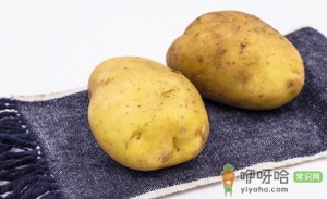 冬季吃什么最养生 推荐9种根菜
