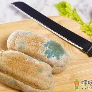 食物发霉了怎么办？防止食物发霉变质的方法