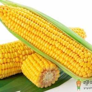 每逢佳节胖三斤？十种刮油食物越吃越瘦