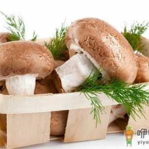 香菇可以帮助排便护理肠道哦