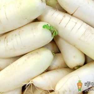 冬食萝卜帮助消化脂肪增加食欲
