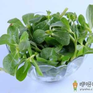 凉拌菜怎么吃才健康？吃凉拌菜最好放抗菌菜