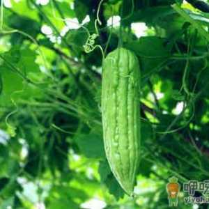 手术后这样吃加速伤口愈合