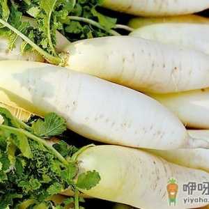 冬季吃什么美白？冬季美白食物推荐