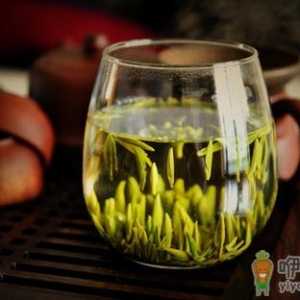 湄潭翠芽怎么喝？湄潭翠芽的简介
