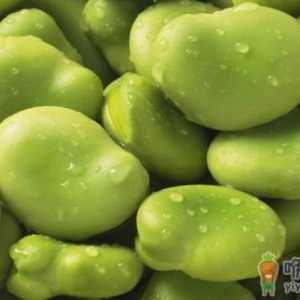 当心！15种食物含有天然毒素