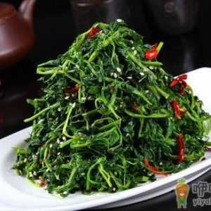 这些野菜好吃又营养