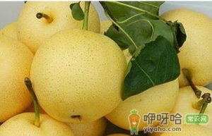 冬天吃什么水果最好