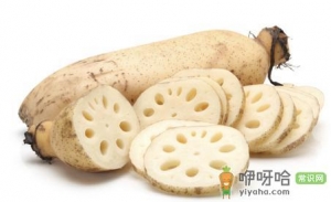 立冬后最适合吃的素食