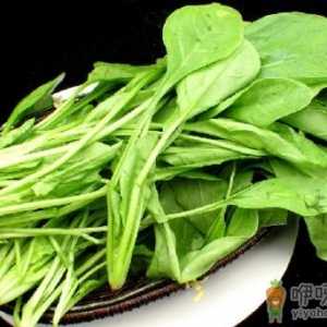 菠菜有六大功效 推荐菠菜的家常做法