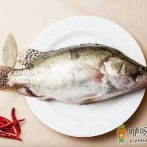 空腹吃鱼？等于慢性自杀！