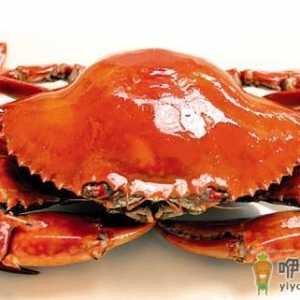 怎么吃螃蟹最营养？吃螃蟹的三个最佳搭档