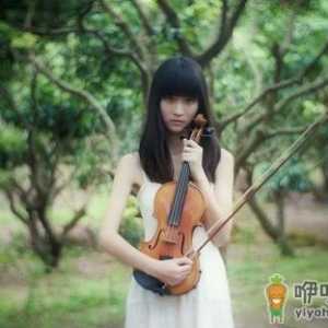 餐馆服务员最容易抑郁