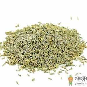 每日3克孜然有助降脂减肥-孜然的作用