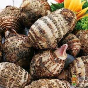 初秋进补多吃三种食物：红薯、芋头、莲藕