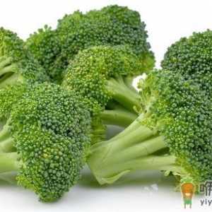 十种适合春季排毒的食物