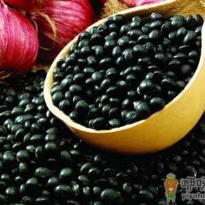 冬天适合吃什么进补？
