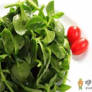 摄入过多的蔬菜会有什么危害？