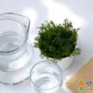 3种养生水帮你强身健体