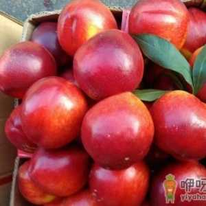 常见水果竟然可能含有大量寄生虫 不宜空腹吃的水果