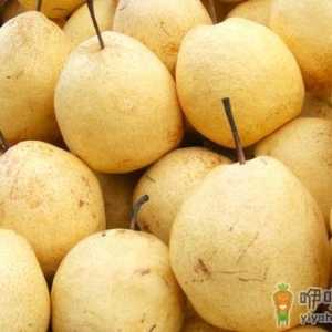 惊蛰节气吃什么？6大传统仲春食物推荐