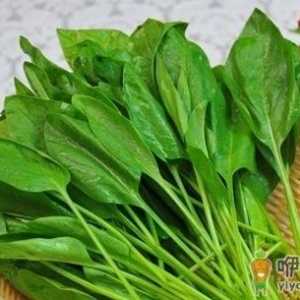 每天吃这8种食物 身体倍儿棒!