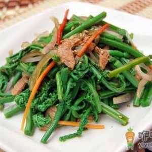 春季吃这些野菜当心中毒！
