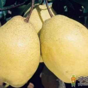 惊蛰节气吃什么好？惊蛰传统食物有哪些？