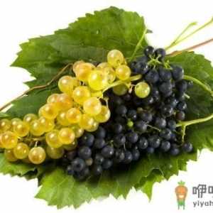 吃什么可以预防感冒？萝卜缓解感冒