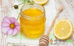 免疫力吃出来 让小病不犯大病不扰
