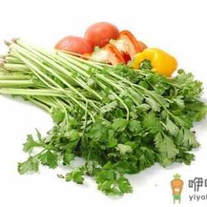 芹菜的功效 吃芹菜的好处