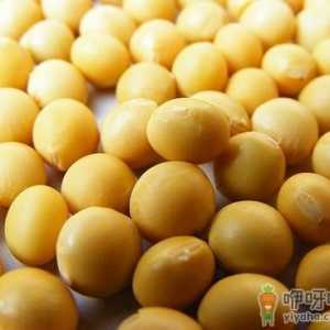 黄豆的功效与作用-常吃黄豆的好处