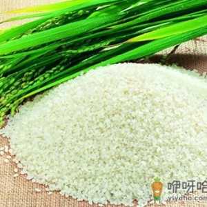 大米的营养价值-大米的功效与作用