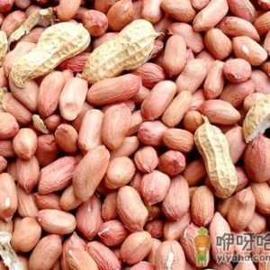 吃花生米有什么好处？花生米的营养价值