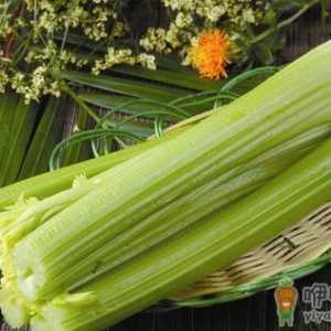 西芹的营养价值 西芹的功效