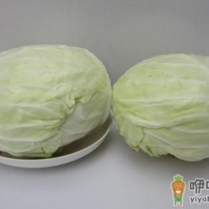包菜有什么营养价值