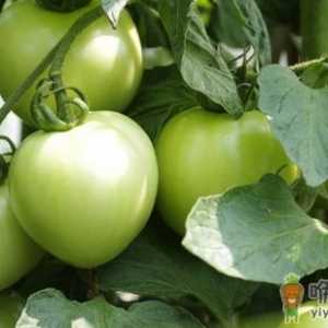 这些菜跟砒霜一样存在剧毒