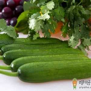 不宜放在冰箱里的食物-黄瓜不能在冰箱久存